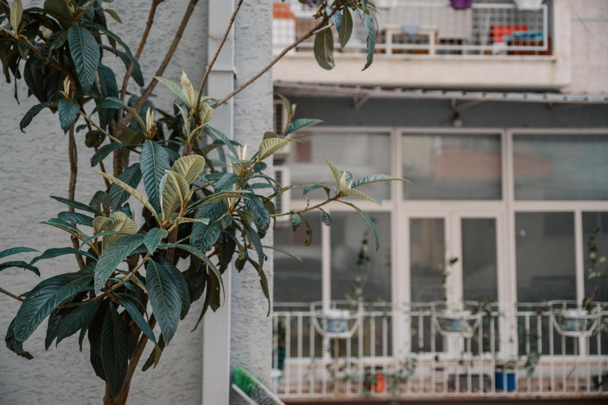 Sun&Moon Ohridlake Apartments Pogradec Exterior photo